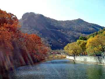 旅客身藏30只活體陸龜被查,預(yù)防解答、解釋與落實(shí)?-抵制虛假渲染術(shù)